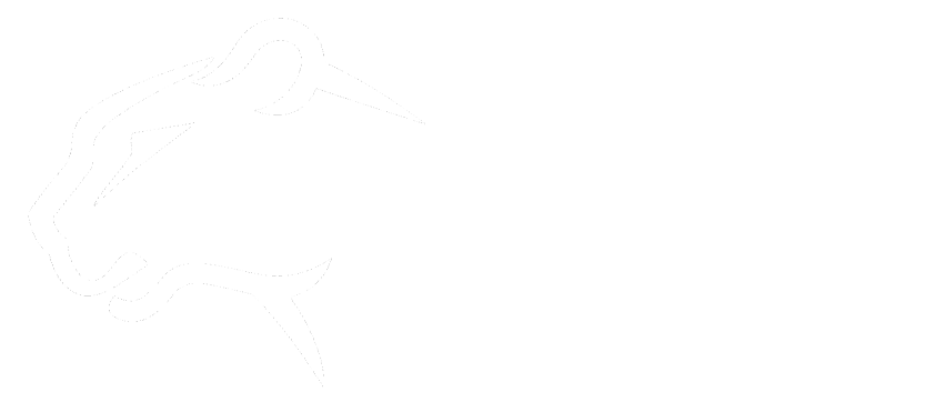 cheeta