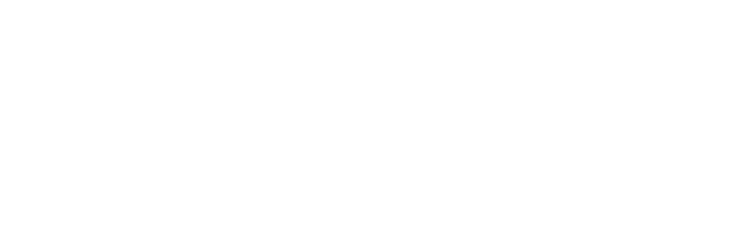 vision edge logo final